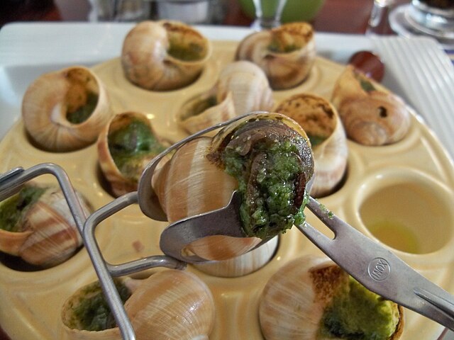escargot de bourgogne que faire à Dijon