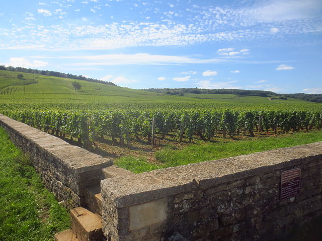 Romanée conti bourgogne visite dijon